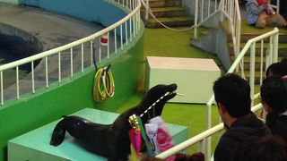 小さな子連れにはよいところです