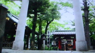 都心の小高い山にあり、防火・防災の神として信仰されています。