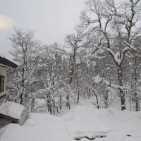 3月ですが大雪の東北でした。