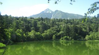 利尻岳がきれいに見れる