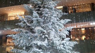 東京駅周辺のツリーの中ではここが一番！