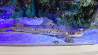 都会の景色を一望できる場所