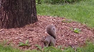 無料ですが、わざわざ行くほどでもない