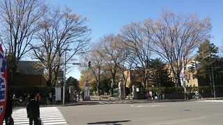 2014/10/19 北大散策