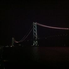 写真では厳しいです。