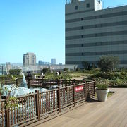 駅の屋上で広い空と花壇の中で一息