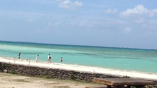 ハブクラゲがいるけど海は本当に美しい