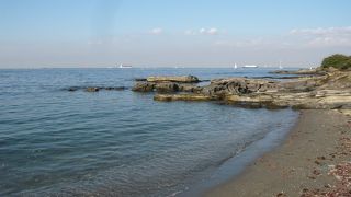 海の青さが身に染みました。