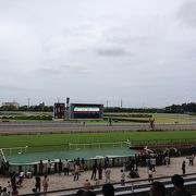 駅からのアクセスが抜群の競馬場「中京競馬場」