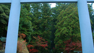 混雑時期は朝早くが吉