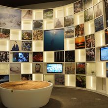 色々な情報が展示されてます