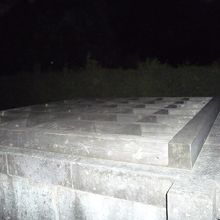 夜でも見られます