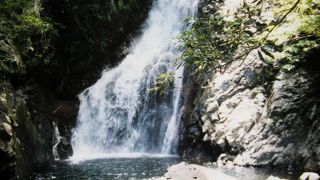 沖縄で一番大きな滝