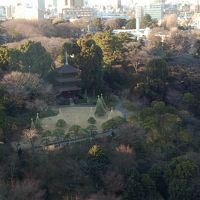 ナイスビュウー