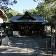 中心に立つ洞のできた巨大な銀杏も圧巻です
