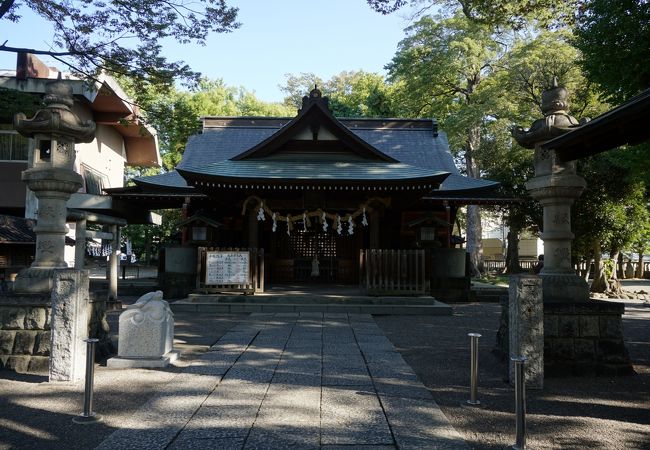 中心に立つ洞のできた巨大な銀杏も圧巻です