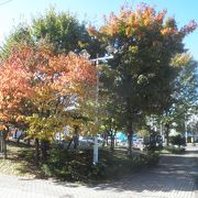 樹木の紅葉が始まった小公園