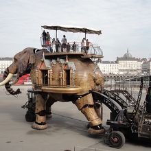 これは楽しい！