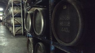 焼酎試飲あり!!