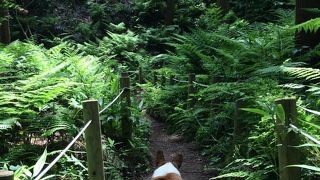 喧騒から離れて