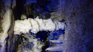 自然の神秘に感動