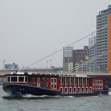 いろいろな種類の遊覧船が就航しています