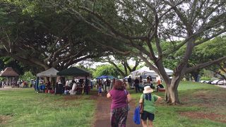 土曜日がおすすめ！