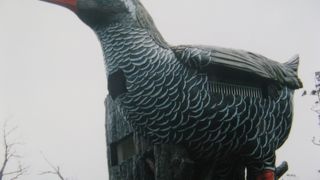 巨大なヤンバルクイナ