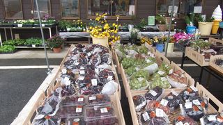 ピオーネがおいしかった