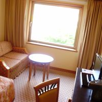 シングルの禁煙。窓からは市街と山が見える。