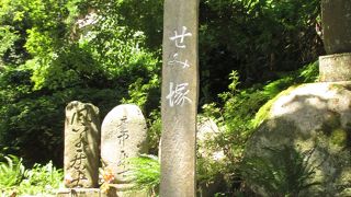 閑さや岩にしみ入蝉の声