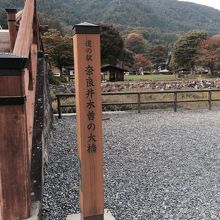道の駅奈良井木曽の大橋