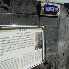 外務大臣経験者の陸奥さんです。