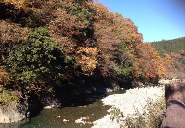 神之川キャンプマス釣り場