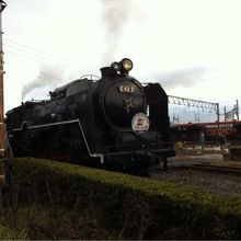 乗車体験できます