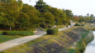 最高の雰囲気！