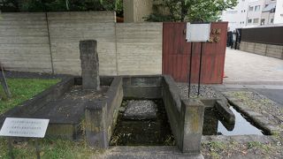 都会の潤いになっています