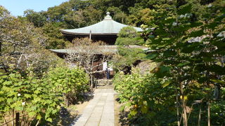 雰囲気は山の中という感じです