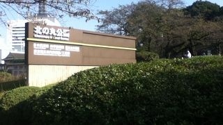 初秋の公園も緑いっぱいで良い。