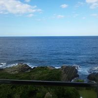 オーシャンビュー！運よければお部屋から鹿が見られます。