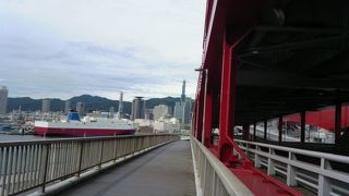 コウベオオハシ