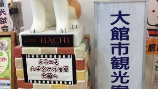 親切な案内をしてくれます。