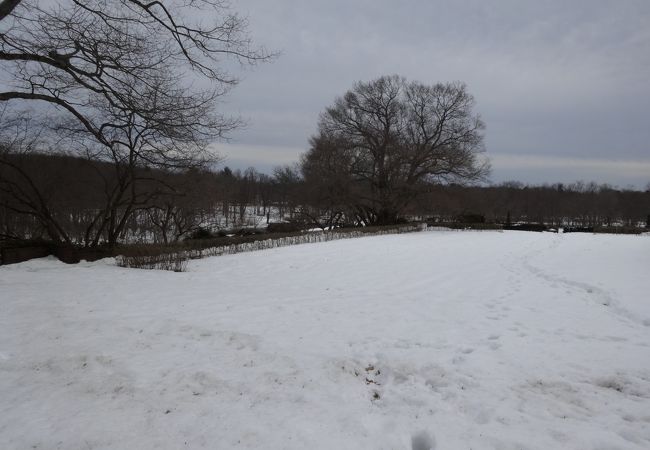 素敵な公園だけど雪だらけ