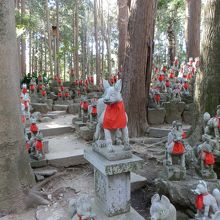 霊狐塚。あっちにも、こっちにも、正にお稲荷様だ。