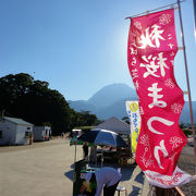 島原で秋桜を見るならこちらの公園