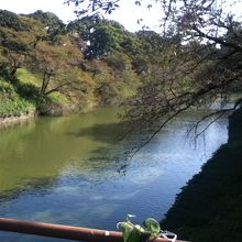 周りの歩道からの眺め