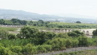 木津川の河川敷の広さがこれほどのものだとは思いませんでした