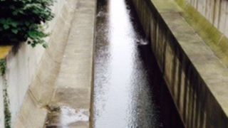 明治通り沿いに流れる