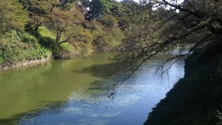 周りの歩道からの眺めが綺麗