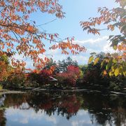 入園無料の日本庭園。紅葉がきれいでした。